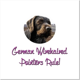 German Wirehaired Pointers Rule! Posters and Art